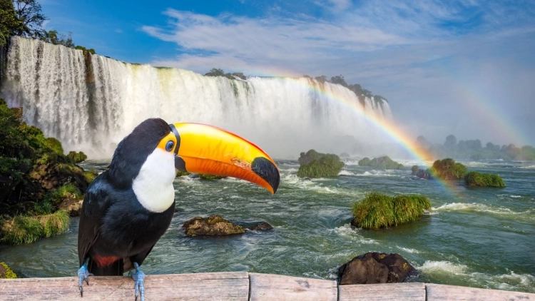 FOZ DO IGUA&Ccedil;U 